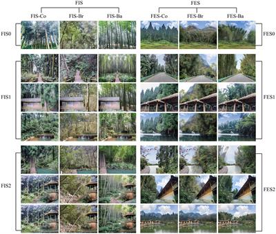 Effects of forest spatial types, element compositions and forest stands on restorative potential and aesthetic preference